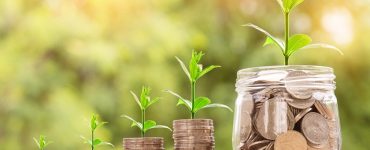 investir immobilier article